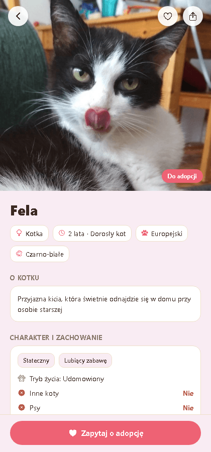 Poznaj każdego kotka
